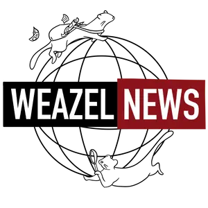 Logo Weazel Dashboard